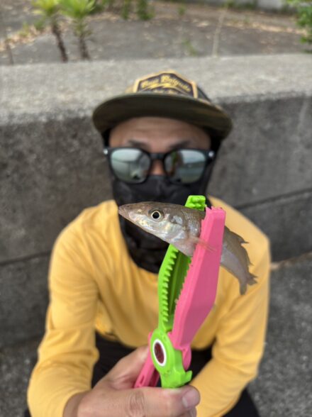 キス釣り淡路島東側ランガン　ラストに思わぬサプライズ？