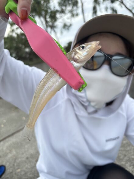 【淡路島】猛暑の中でキス釣り！🥵🔥