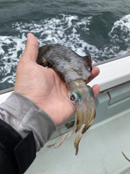 秋のティップラン!日本海!