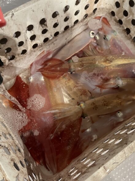 美浜シーブラボー