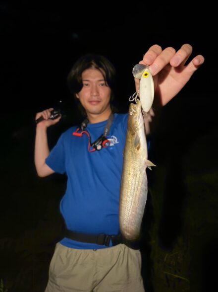 高田釣行便 奈良ナマズ③