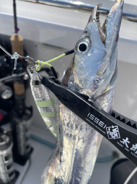 友ヶ島沖のタチウオジギング⚔️🎣