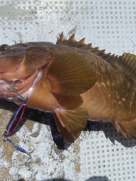 タチウオジギングin海勇丸