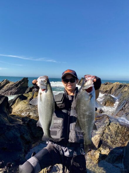 ヒラスズキin三浦半島