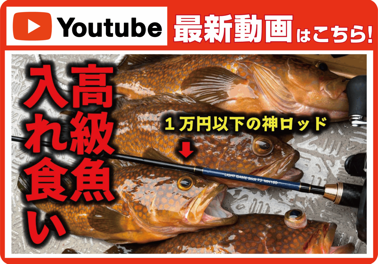 【最新動画】エサすらいらないこの釣りで超高級魚が入れ食いになります【落とし込み】