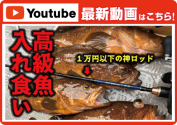 【最新動画】エサすらいらないこの釣りで超高級魚が入れ食いになります【落とし込み】