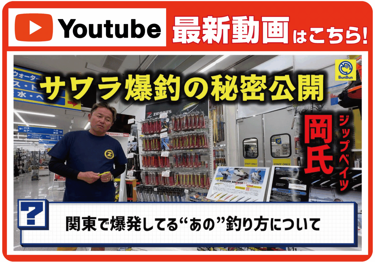 【最新動画】このメソッドでサワラがめちゃくちゃ釣れてるらしい…【モンスーンブレイカー】