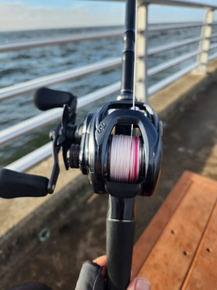 悔しい…東京湾奥シーバス釣行
