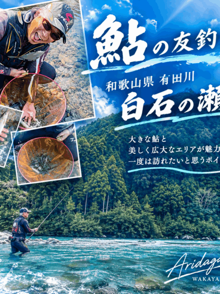 今年最後の鮎釣り釣果!有田川白石の瀬へ行って来ました!