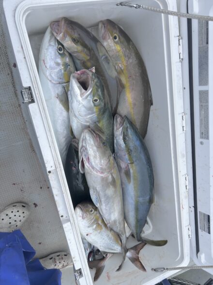 秋のタテ釣り大爆釣！