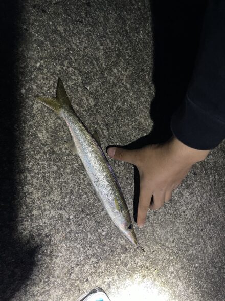 友達の釣りデビューに密着