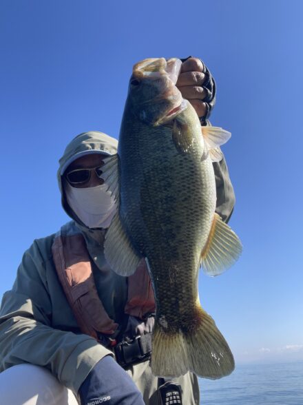 10月1日琵琶湖釣行