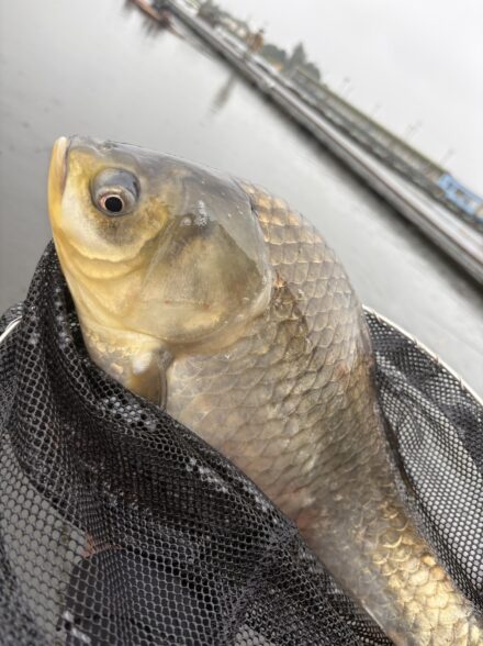 椎の木湖で試釣！