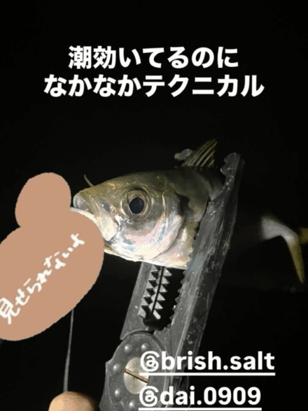 中秋の名月に玉を添えて🥚