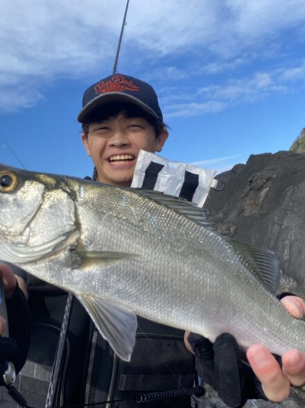 ヒラスズキin三浦半島