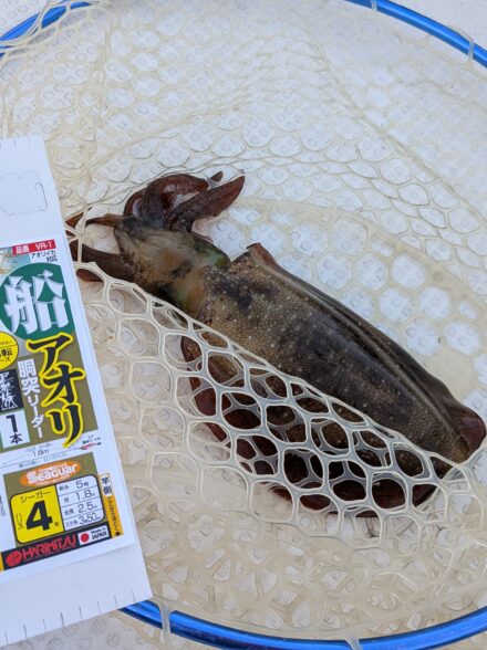 明石船カワハギ10月2日